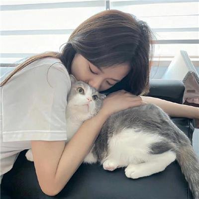 凹凸学园第二季