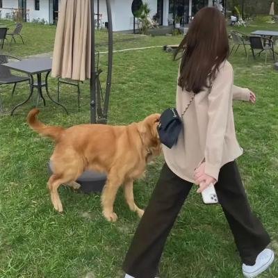 碧蓝之海第二季